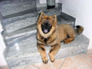 Bild 46