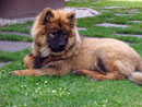 Bild 48