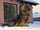 Bild 74