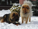 Bild 86
