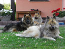 Bild 89