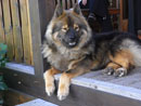 Bild 93