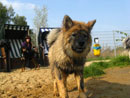 Bild 46