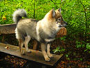 Bild 48
