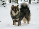 Bild 53