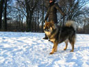 Bild 56