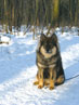 Bild 58