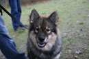 Bild 62